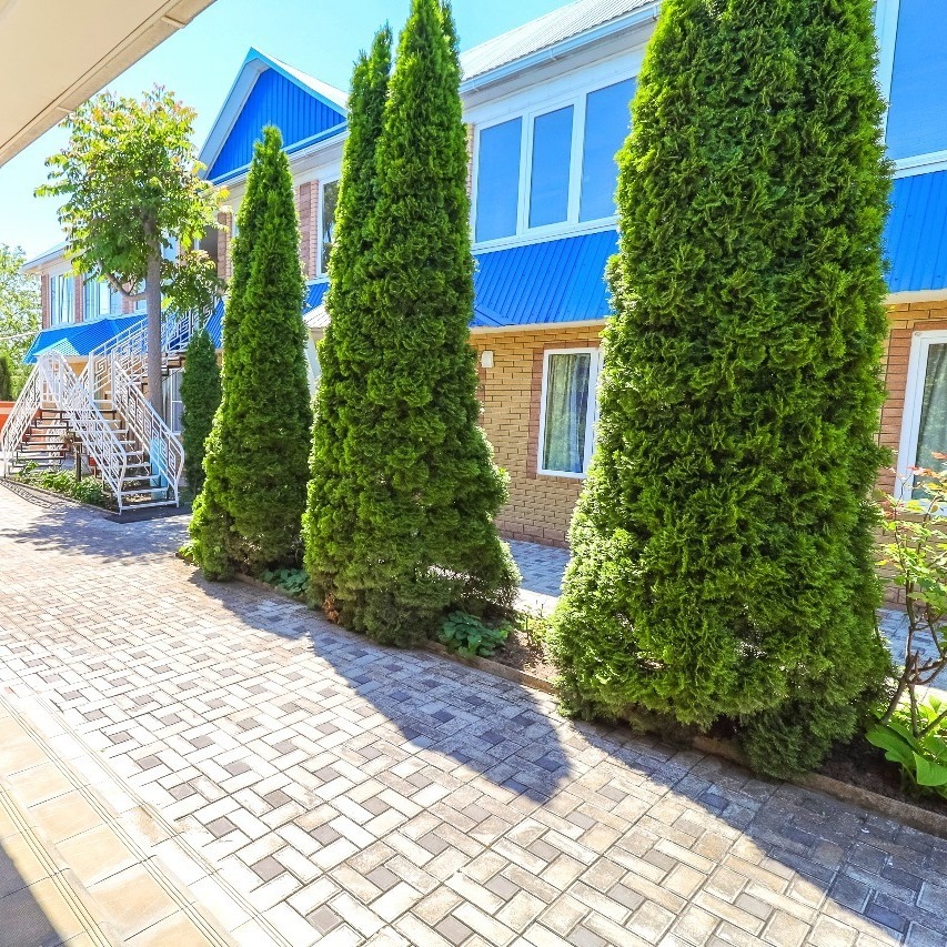 кучугуры отдых кучугуры отдых